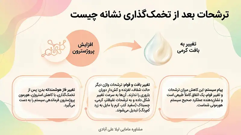 ترشحات بعد از تخمک گذاری نشانه چیست+چند ساعت بعد از ترشحات تخمک ازاد میشود
