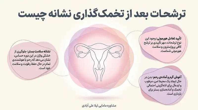 ترشحات بعد از تخمک گذاری نشانه چیست+چند ساعت بعد از ترشحات تخمک ازاد میشود