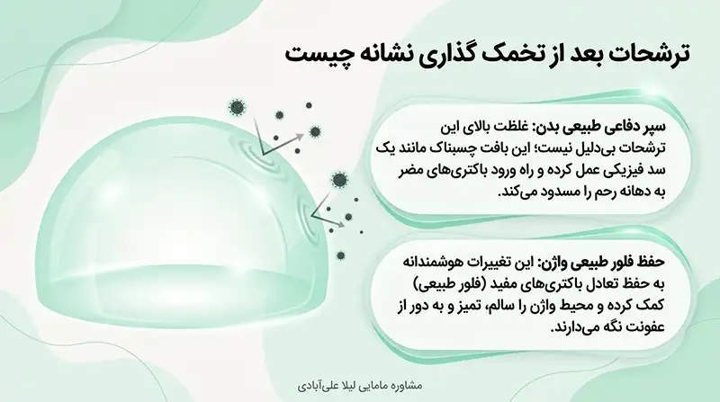 ترشحات بعد از تخمک گذاری نشانه چیست+چند ساعت بعد از ترشحات تخمک ازاد میشود