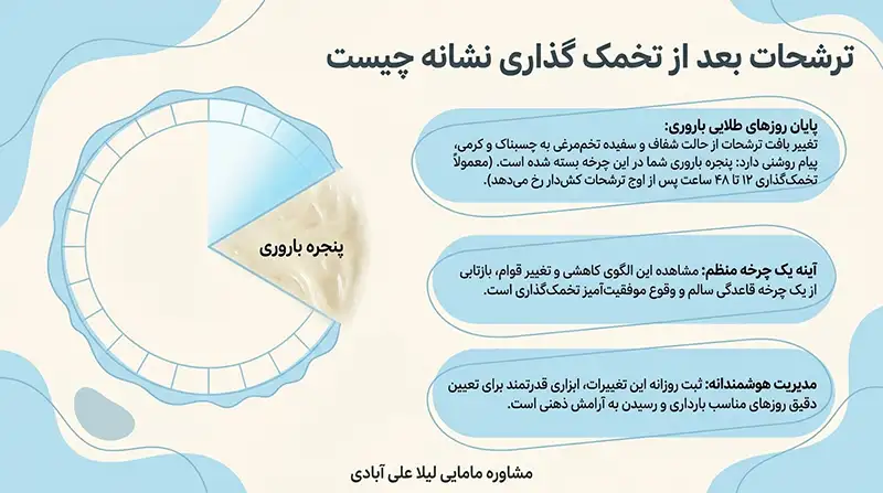 ترشحات بعد از تخمک گذاری نشانه چیست+چند ساعت بعد از ترشحات تخمک ازاد میشود