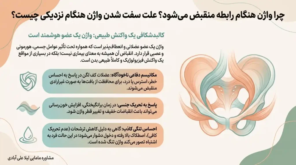 چرا واژن هنگام رابطه منقبض میشود؟ علت سفت شدن واژن هنگام نزدیکی چیست؟