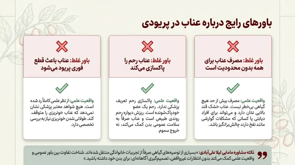 عناب در پریودی
