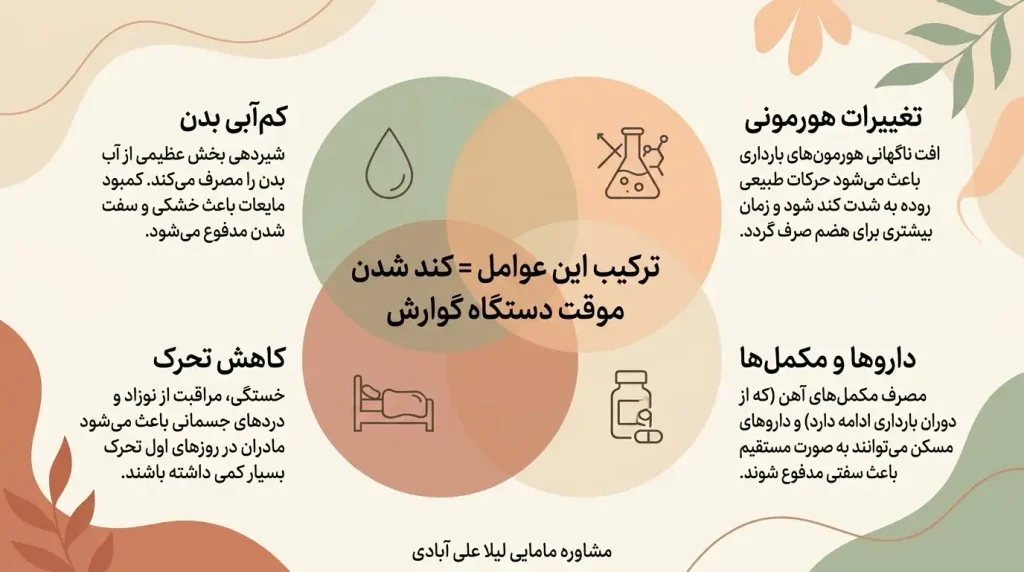 یبوست بعد از زایمان