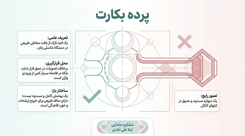 انواع پرده بکارت+پرده ارتجاعی