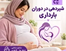 شیردهی در دوران بارداری
