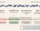 علائم بارداری در روزهای اول تشکیل نطفه