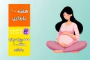 هفته دهم بارداریهفته دهم بارداری