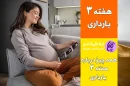 هفته سوم بارداری