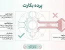 انواع پرده بکارت+پرده ارتجاعی